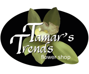 Tamar's Trends