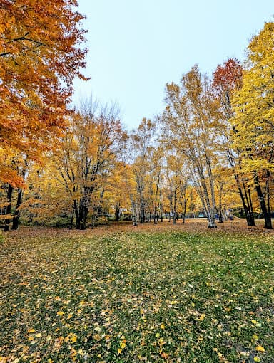 Birchwood Park