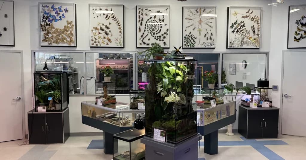 Entomica Insectarium