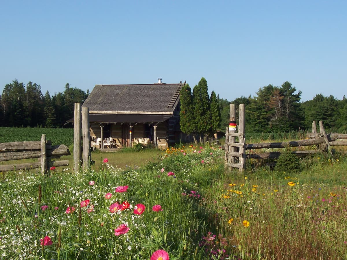 Mockingbird Hill Farm
