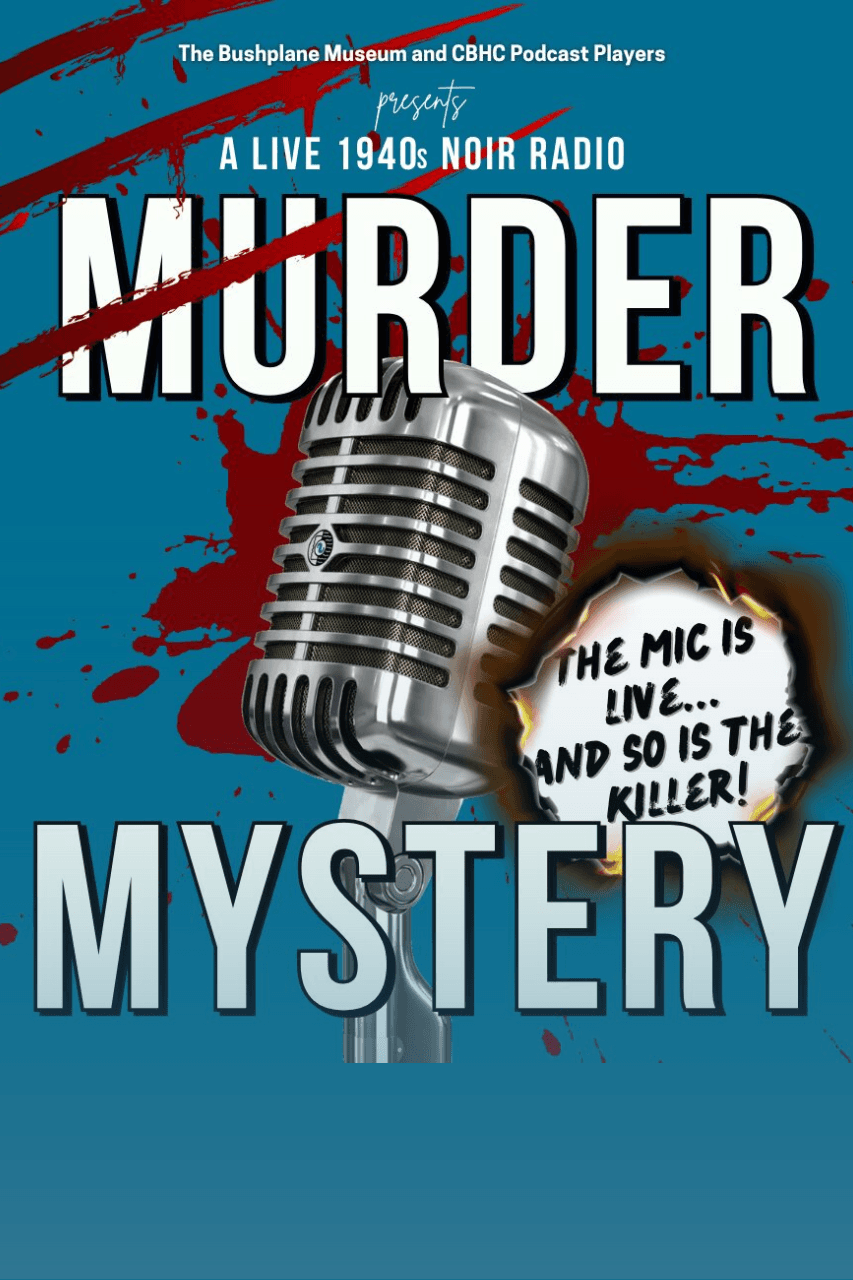MURDER MYSTERY: IT WAS A DARK AND STORMY FLIGHT