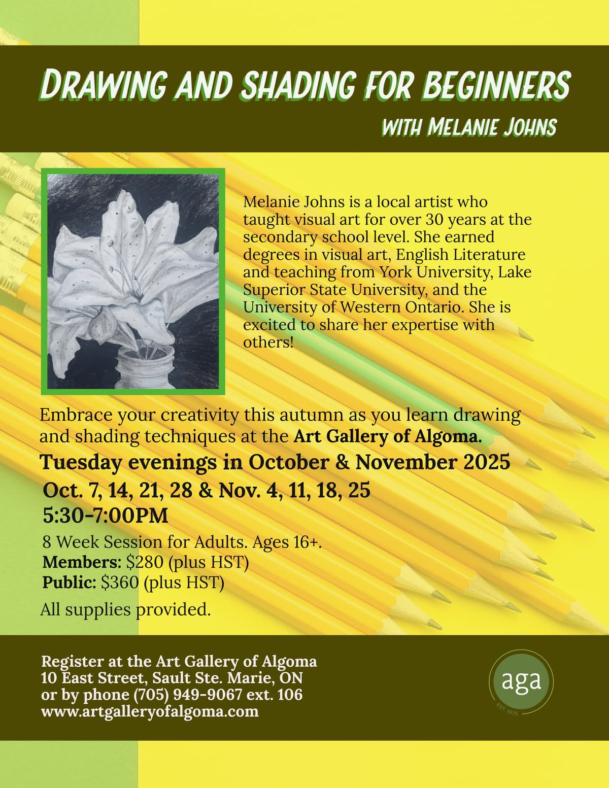 Drawing and Shading for Beginners with Melanie Johns at the Art Gallery of Algoma