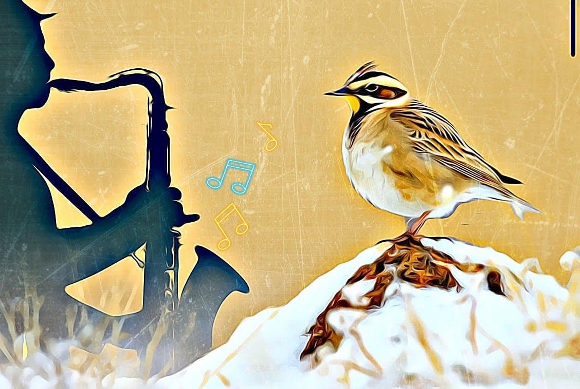 Classically Sublime Meets Jazz Innovation 2 - Friday October 10, 2025 - 7:30 pm - THE LOFT